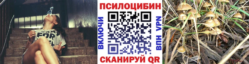 Галлюциногенные грибы ЛСД  Лихославль 